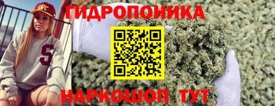 шишки Туймазы