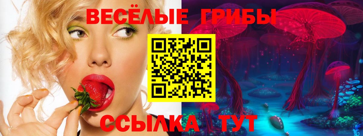 Галлюциногенные грибы Magic Shrooms  Вход с VPN  Псилоцибиновые грибы MAGIC MUSHROOMS  Белово 